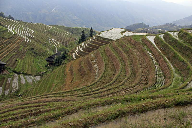 2017-04-11_165915 china-2017.jpg - Longsheng - Pingan - Reisterassen